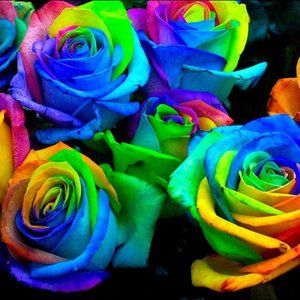 Meet your Posher, Jujuwin